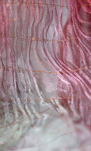 Revealed and enveloped detail