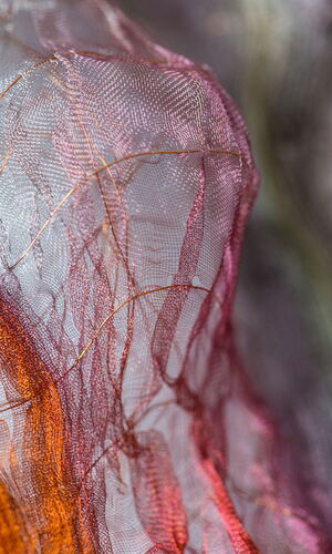 Revealed and enveloped detail