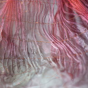 Revealed and enveloped detail