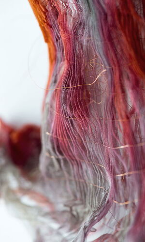 Revealed and enveloped detail