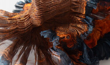 Distortions II detail