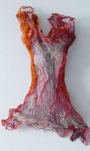 Revealed and enveloped