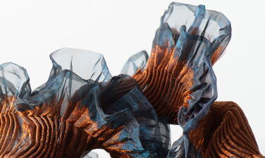 Distortions II detail