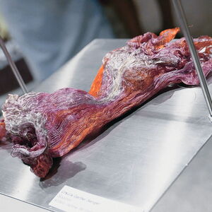 Revealed and enveloped